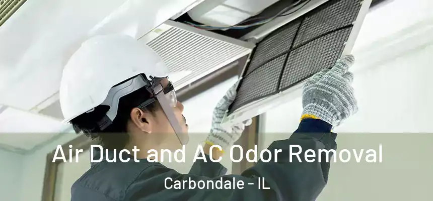  Air Duct and AC Odor Removal Carbondale - IL