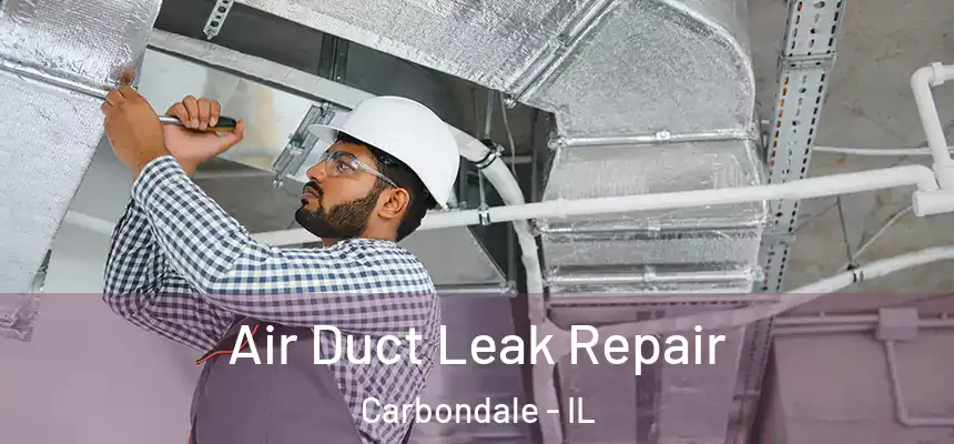  Air Duct Leak Repair Carbondale - IL