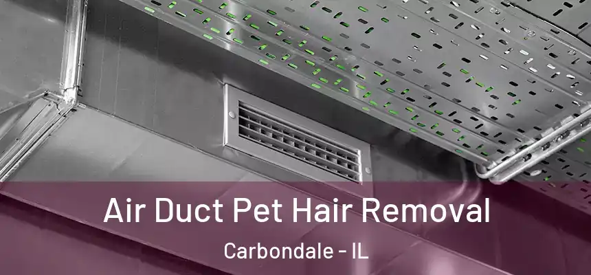  Air Duct Pet Hair Removal Carbondale - IL