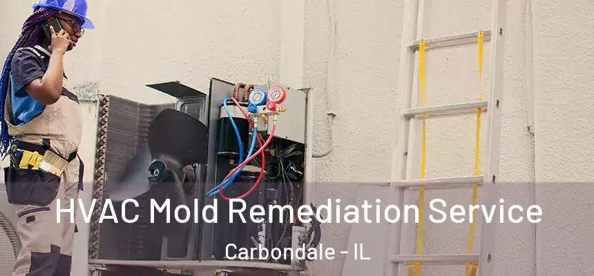  HVAC Mold Remediation Service Carbondale - IL
