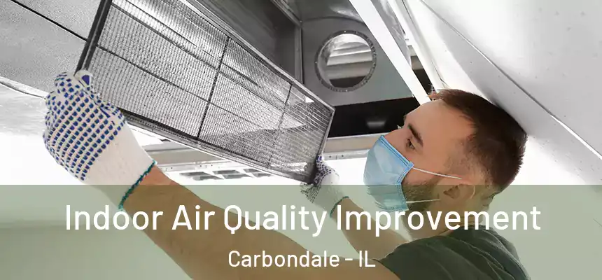  Indoor Air Quality Improvement Carbondale - IL