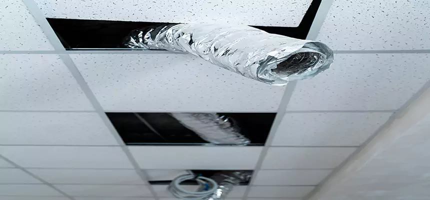 Our Air Duct Pet Hair Removal Services in Carbondale, IL