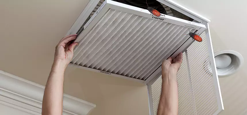 Our Insect Removal from Air Ducts Services in Carbondale, IL