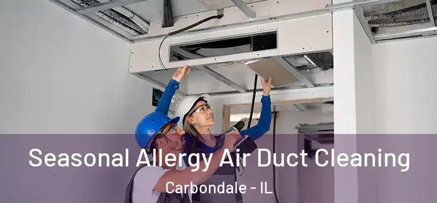 Seasonal Allergy Air Duct Cleaning Carbondale - IL