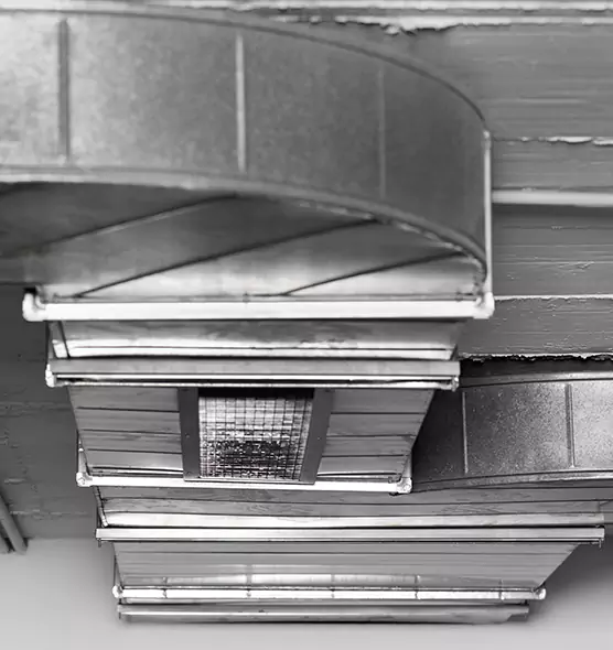 Professional Air Duct Pet Hair Removal in Carbondale, IL