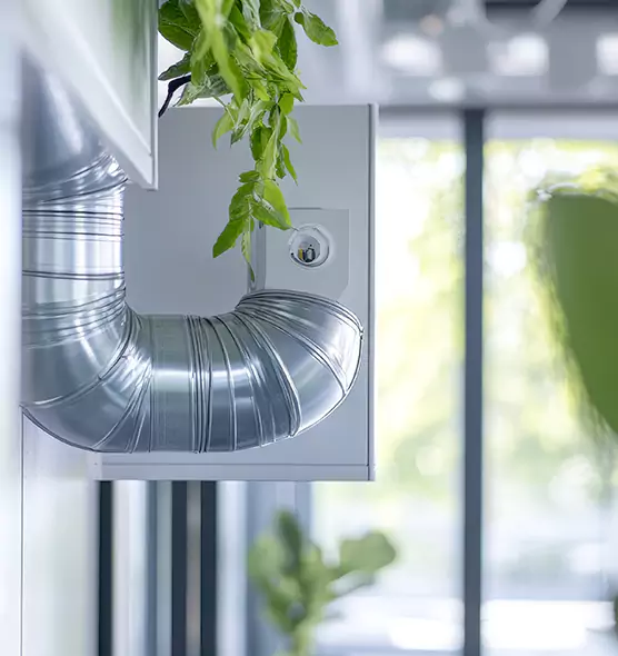 Professional Eco-Friendly Duct Cleaning Services in Carbondale, IL