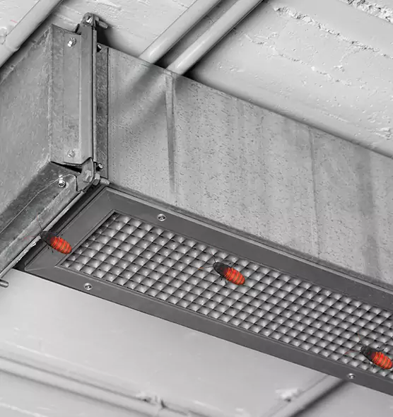Affordable Insect Removal from Air Ducts in Carbondale, IL
