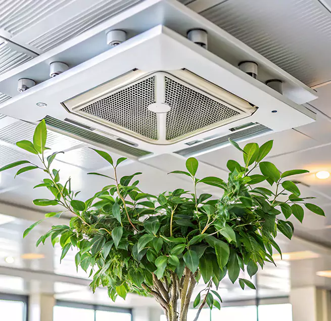 Why Homeowners & Businesses Trust Us in Carbondale, IL?