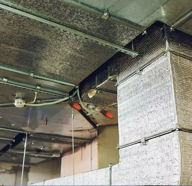 Why Homeowners & Businesses Trust Us Carbondale, IL?