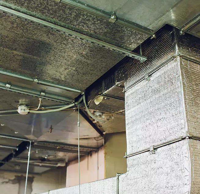 Why Homeowners & Businesses Trust Us in Carbondale, IL?