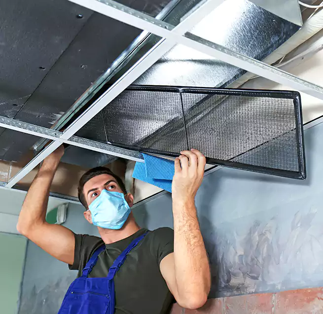 Why Homeowners Businesses Trust Us in Carbondale, IL